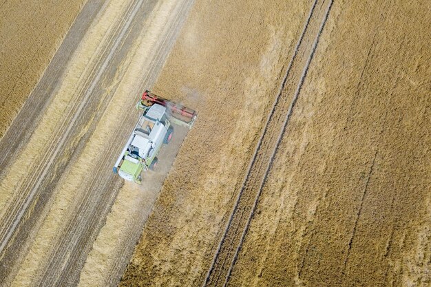 Cosechadora trabajando en un campo de trigo. Vista aérea de la cosechadora.