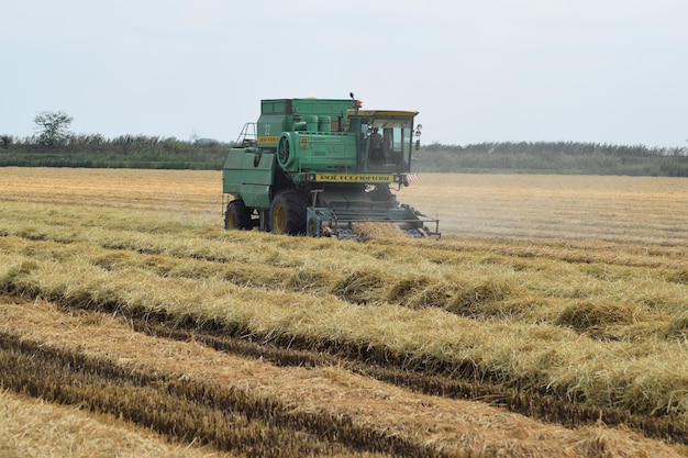 Foto las cosechadoras combinadas don máquinas agrícolas