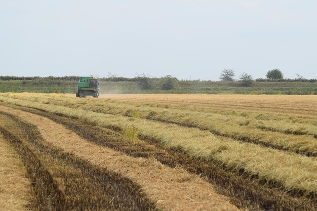 Las cosechadoras combinadas Don Máquinas agrícolas