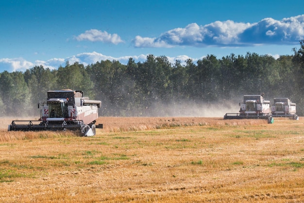 Cosechadoras modernas que trabajan en el campo en un día claro y soleado