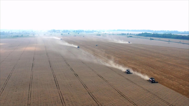 Foto se está cosechando un campo de tractores en el campo.