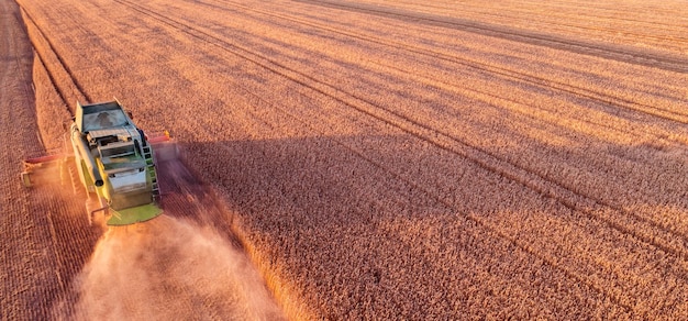 Cosechando los campos Vista aérea de una cosechadora de trigo