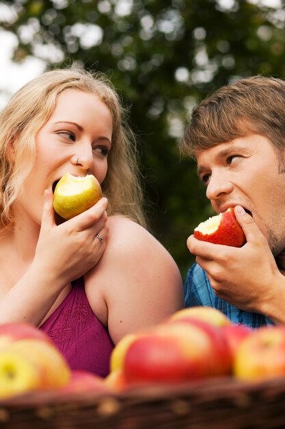 Cosechando, comiendo manzanas