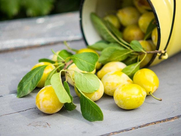 Cosechar ciruelas ciruelas frescas a granel sobre una mesa de madera