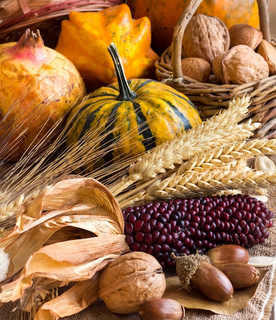 Coseche con maíz, espigas, calabazas y nueces.