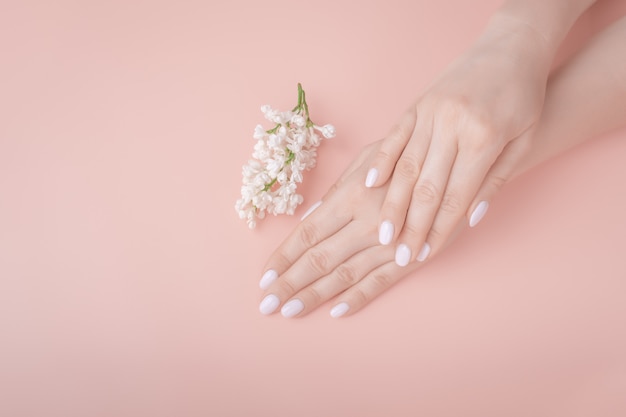 Cosmética ecológica. manos femeninas sobre fondo rosa, blanco lila. maqueta de vista superior