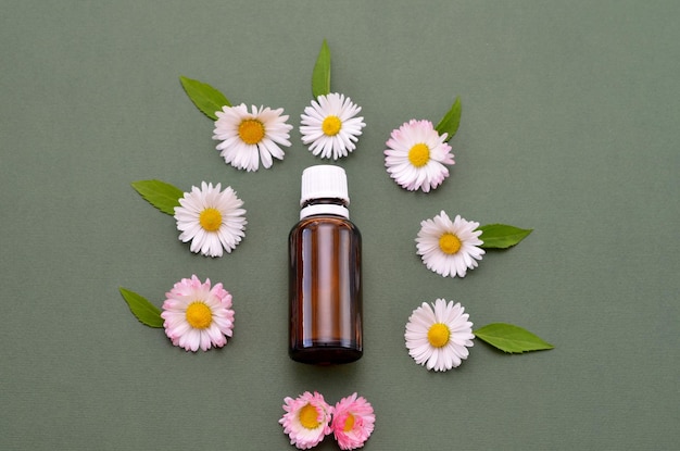 Cosmética natural en una botella de vidrio y flores de margarita cerca sobre fondo verde