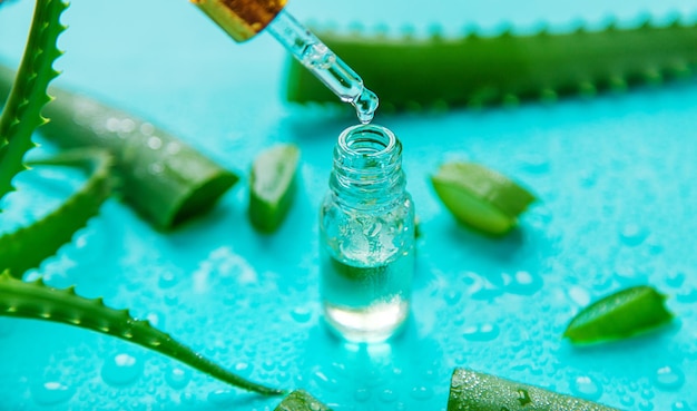 Cosméticos e remédios de aloe vera Foco seletivo