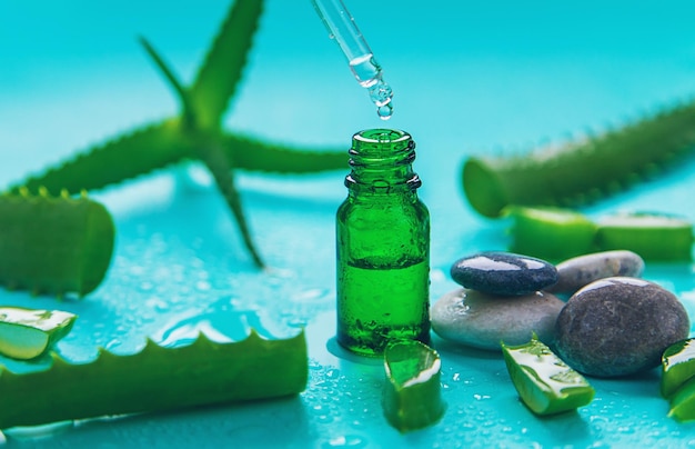 Cosméticos e remédios de aloe vera Foco seletivo