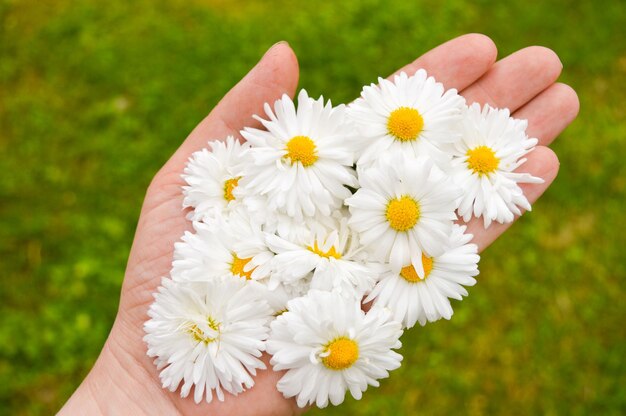 Cosméticos naturais para mãos antirrugas mãos Beleza natural de uma mulher