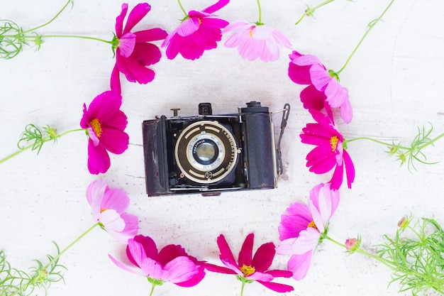 Cosmos e flores de jasmim com câmera fotográfica retrô
