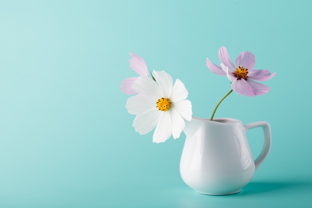 Cosmos flores en una jarra blanca