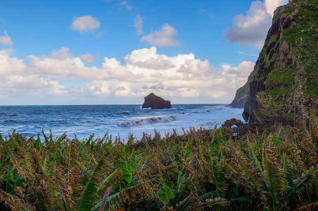 Costa y acantilados cerca de Santana en las Islas Madeira Portugal