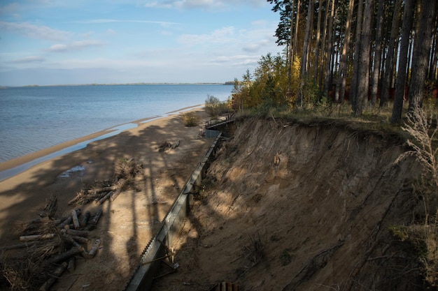 Costa de arena del río Volga con pinos altos en la orilla Ulyanovsk