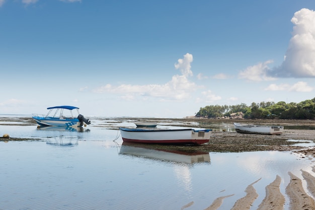 Costa arenosa del océano Índico con paisaje de embarcaciones