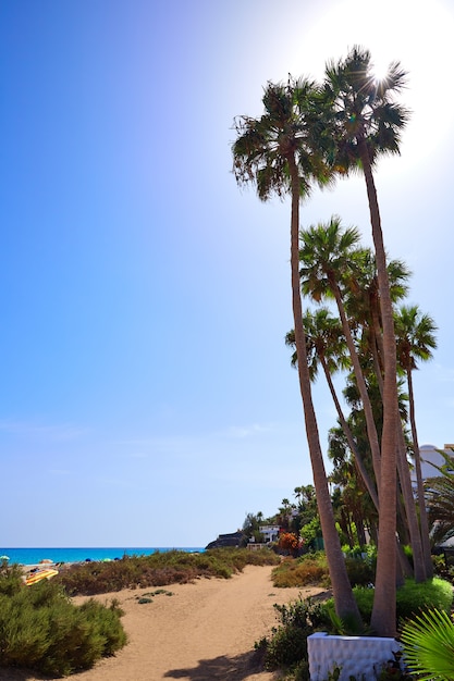 Costa Calma playa de Jandia Fuerteventura