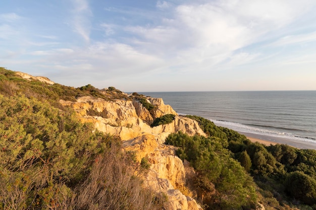 Costa com falésias, dunas, pinheiros, vegetação verde. Conceito das melhores praias.