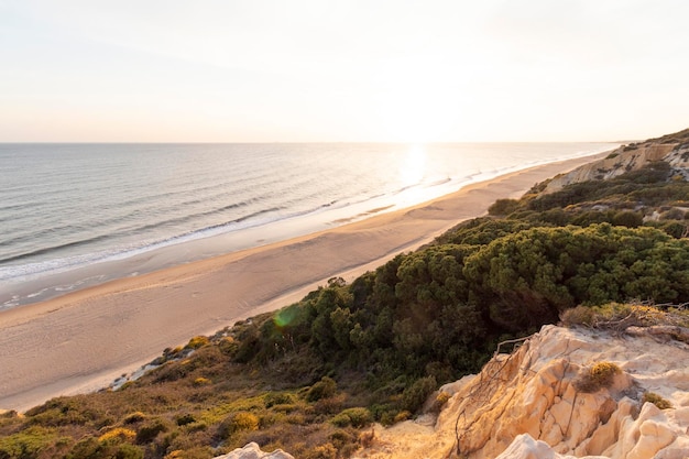 Costa com falésias dunas pinheiros vegetação verdea praia mais bonita da espanha