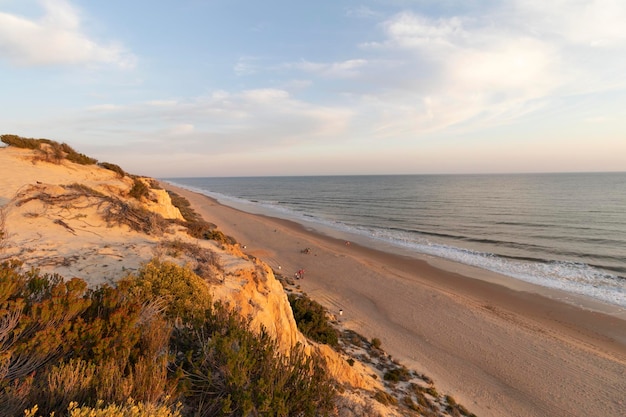 Costa com falésias dunas pinheiros vegetação verdeA praia mais bonita da Espanha