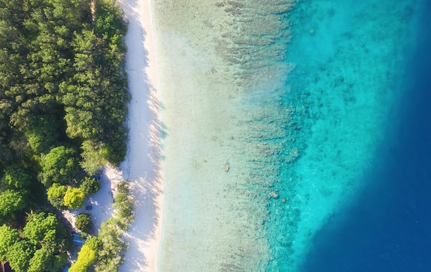 Costa como pano de fundo da vista superior Fundo de água turquesa da vista superior Paisagem marítima de verão do ar Gili Meno island Indonésia Travel image