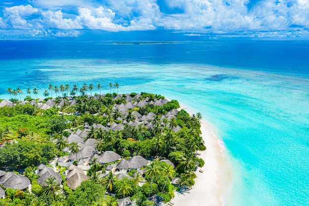 Costa da ilha aérea, costa tropical das ilhas Maldivas. Praia intocada, paisagem de lagoa, palmeiras de areia