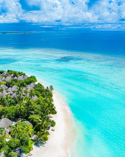 Costa da ilha aérea, costa tropical das ilhas Maldivas. Praia intocada, paisagem de lagoa, palmeiras de areia