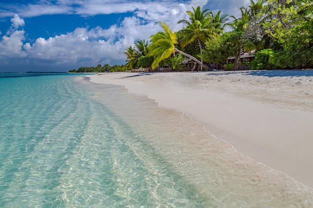 Costa da ilha das Maldivas. Paraíso tropical, lagoa do mar, palmeiras de areia à beira-mar. Paisagem incrível