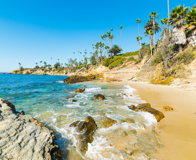 Costa da praia de Laguna