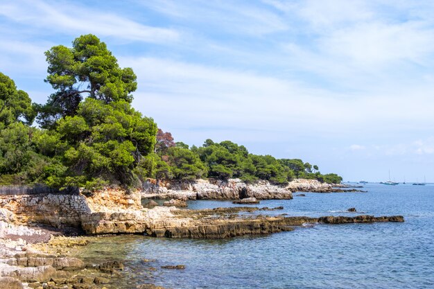 Costa de ilha sainte marguerite à luz do dia