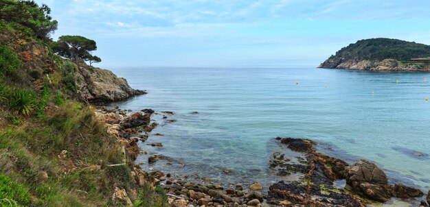 Costa de Palamos em flor. Paisagem da manhã de verão, Girona, Costa Brava, Espanha.