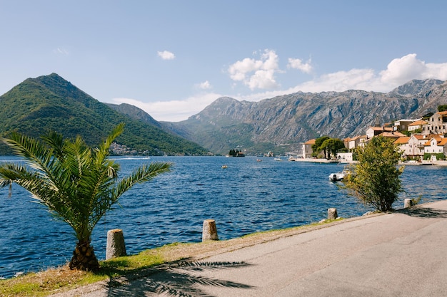 Costa de Perast com antigas casas de pedra ao fundo das montanhas montenegro