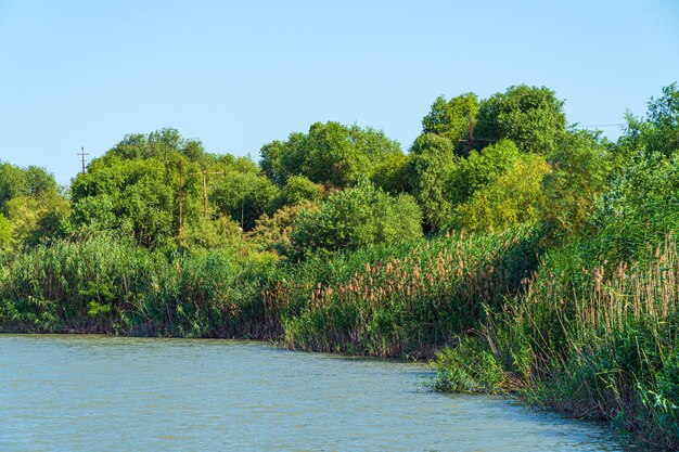 Foto costa de um rio largo e plano