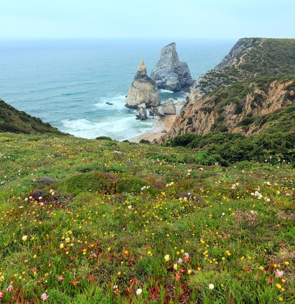 Costa de verão do oceano Atlântico com pedregulho de granito e falésias praia arenosa e flores na frente Vista do Cabo Roca Cabo da Roca PortugalxA