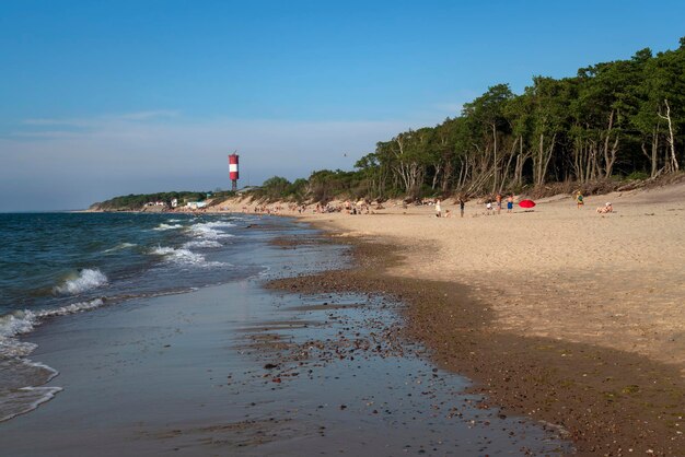 Foto costa do mar báltico perto da aldeia de lesnoy em um dia de verão ensolarado cukaliningrad região rússia