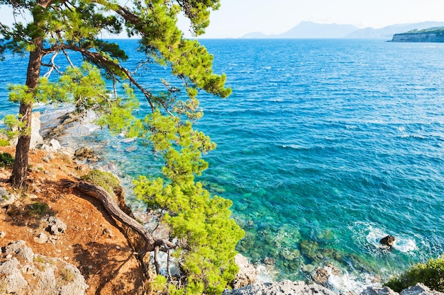 Costa do mar com água turquesa e pinheiros perto de Kemer, Turquia. Linda paisagem de verão