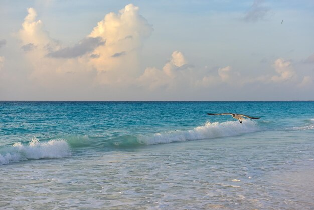 Foto costa do mar na praia do caribe na zona hoteleria em cancun, quintana roo, méxico