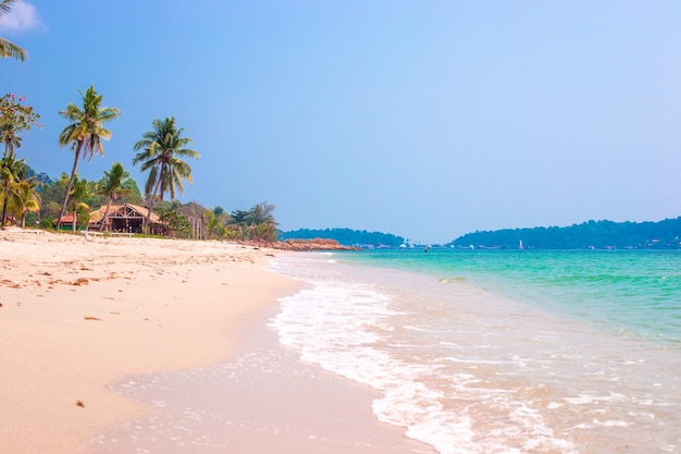 Costa do mar tropical com palmeiras, céu azul em um dia ensolarado, férias na ásia.