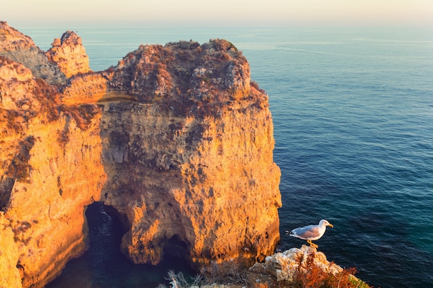 Costa do oceano atlântico em portugal