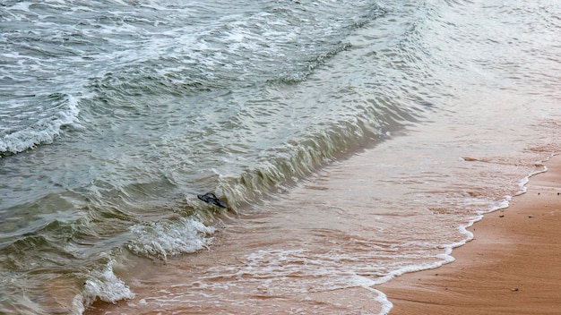 costa do Oceano Atlântico, marinha