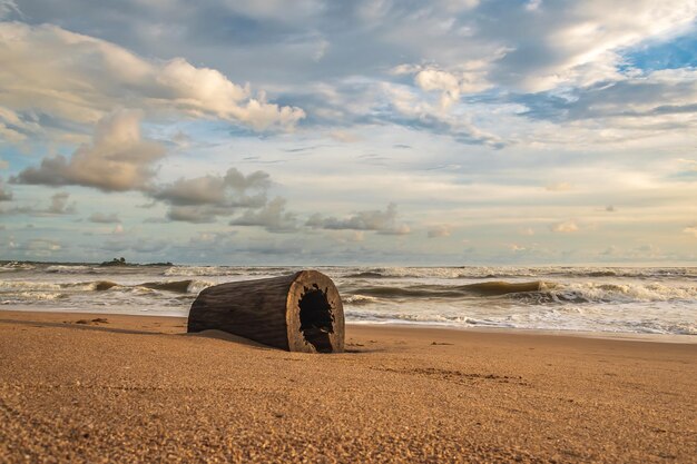 Foto costa do ouro da áfrica com um tronco oco na praia durante o pôr do sol em axim, gana, áfrica ocidental