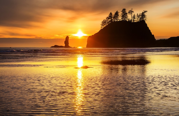 Costa do Pacífico cênica e rigorosa no Parque Nacional Olímpico, Washington, EUA. Pedras no oceano e grandes toras na praia.