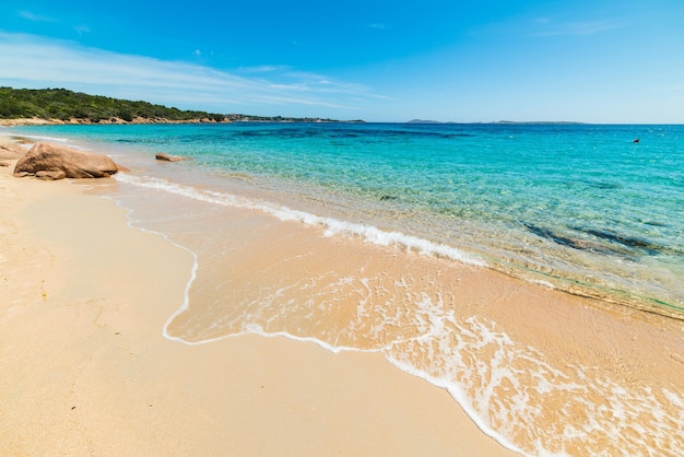 Costa dourada na praia de Liscia Ruja na Costa Smeralda Itália