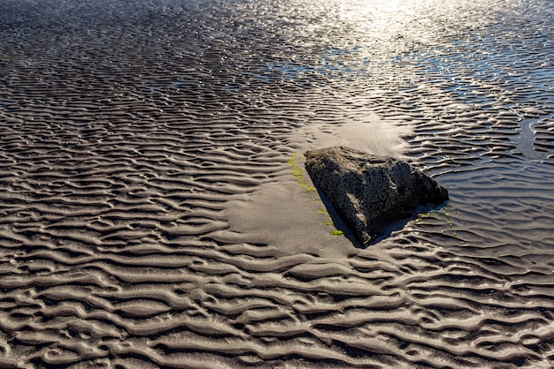 Costa del fiordo noruego durante la marea baja en un día soleado