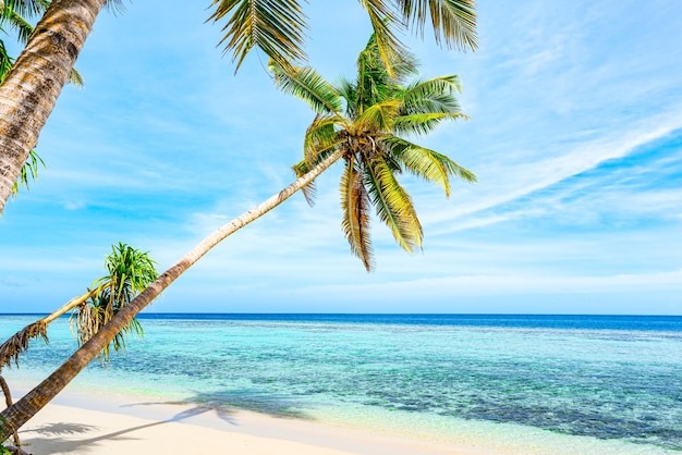 Costa de una isla tropical en las Maldivas y vista del Océano Índico