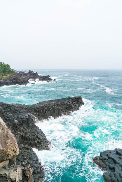 Costa Jungmun Daepo Acantilado Jusangjeolli, Isla Jeju