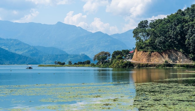 Costa del lago con algunas algas verdes en la superficie en la región de pokhara nepal