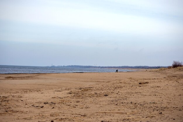 la costa del mar de Altia en un gris día de otoño