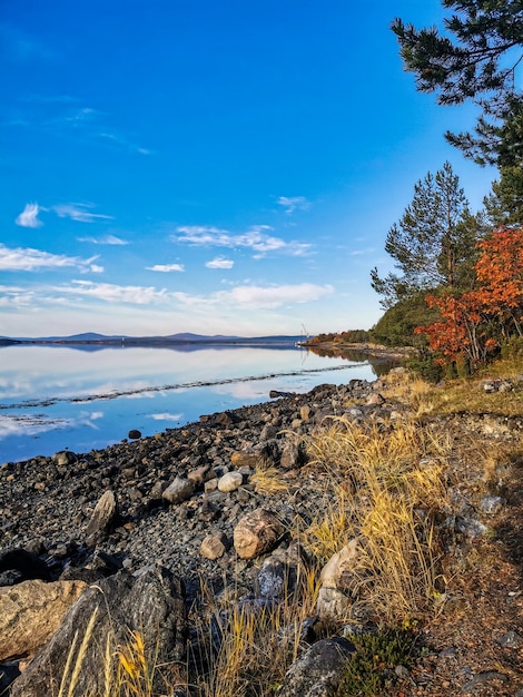 La costa del Mar Blanco con árboles en primer plano y piedras en el agua en un día soleado Karelia
