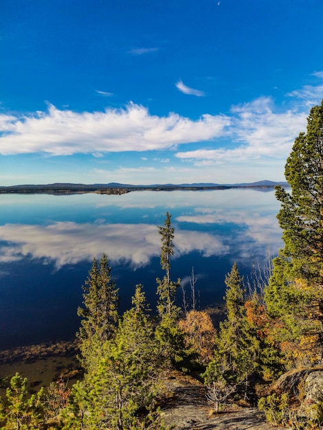 La costa del Mar Blanco con árboles en primer plano y piedras en el agua en un día soleado Karelia