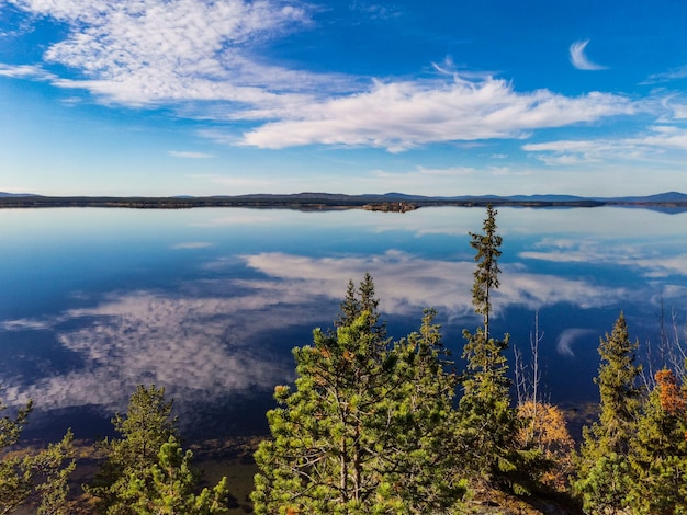 La costa del Mar Blanco con árboles en primer plano y piedras en el agua en un día soleado Karelia